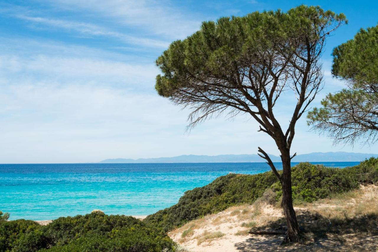 Appartamento Con Vista Mare A Terramala Terra Mala Ngoại thất bức ảnh